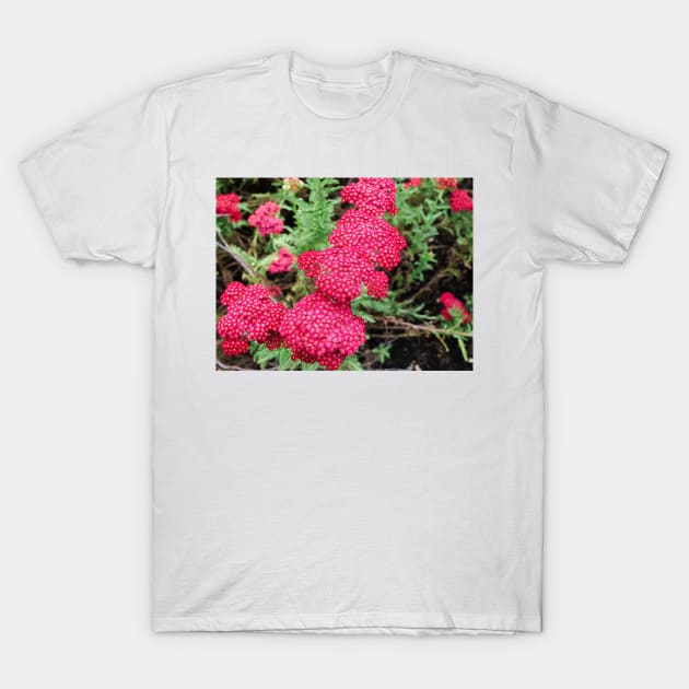 Laura Yarrow flower design T-Shirt by fantastic-designs